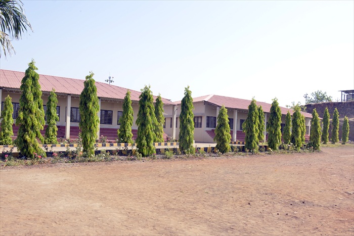 Plants: image 12 0f 21 thumb